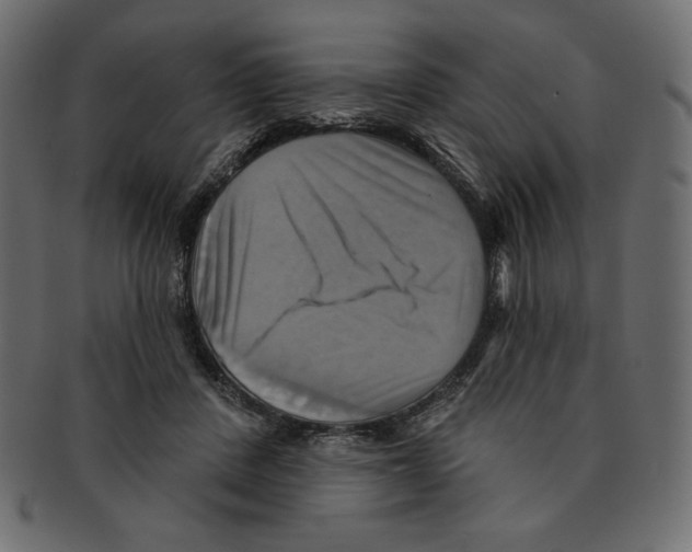 X0000091910408200710031023