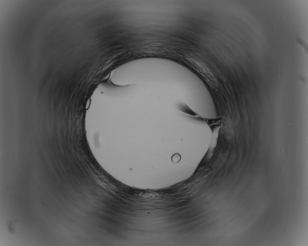 X0000091910409200710031023