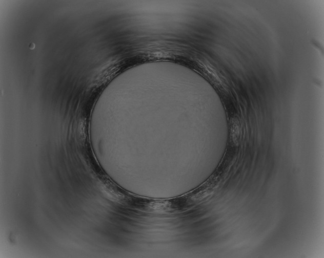 X0000091910410200710031023