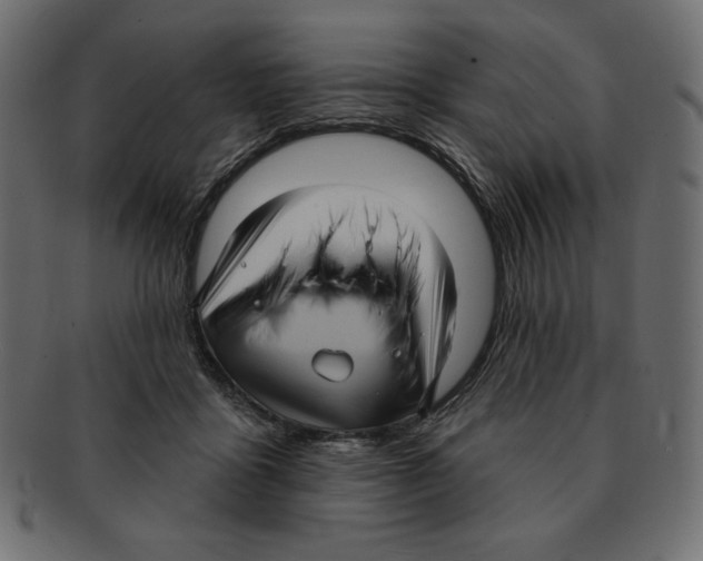 X0000091910411200710031023