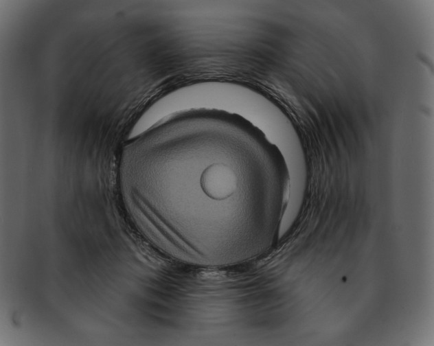 X0000091910413200710031023