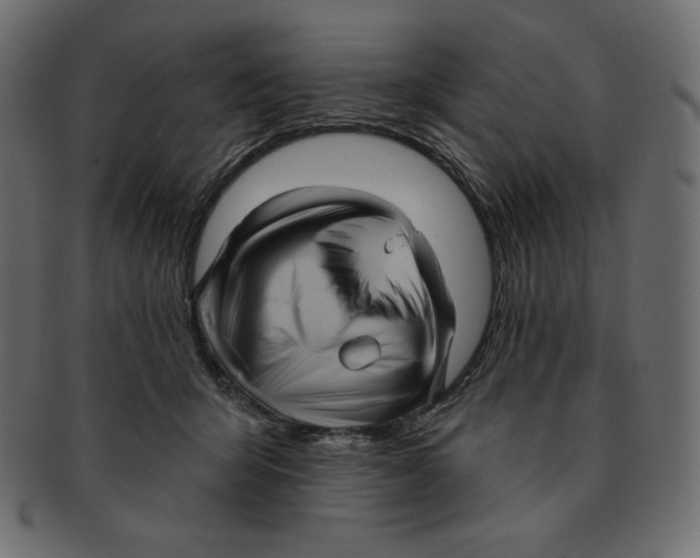 X0000091910415200710031023