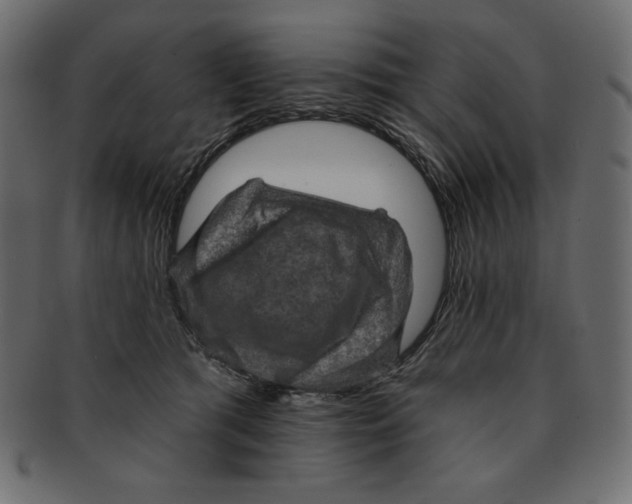 X0000091910417200710031023