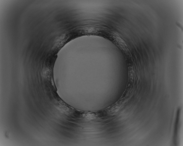 X0000091910419200710031023