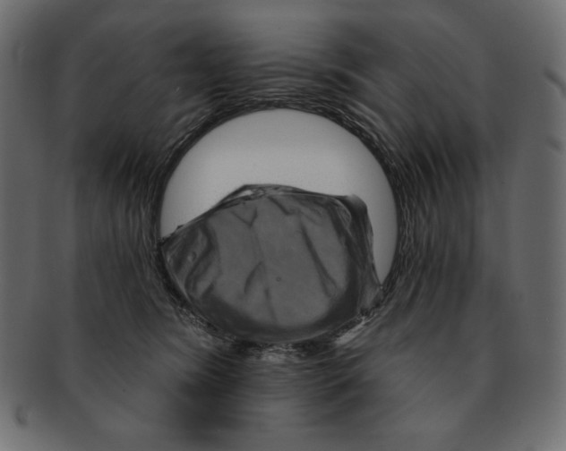 X0000091910420200710031023