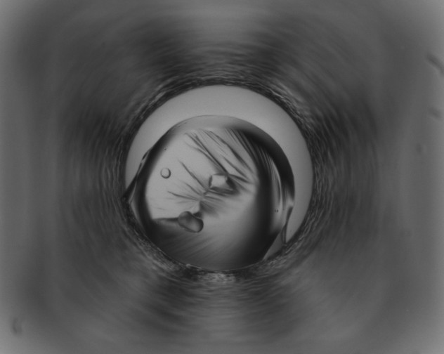 X0000091910421200710031023