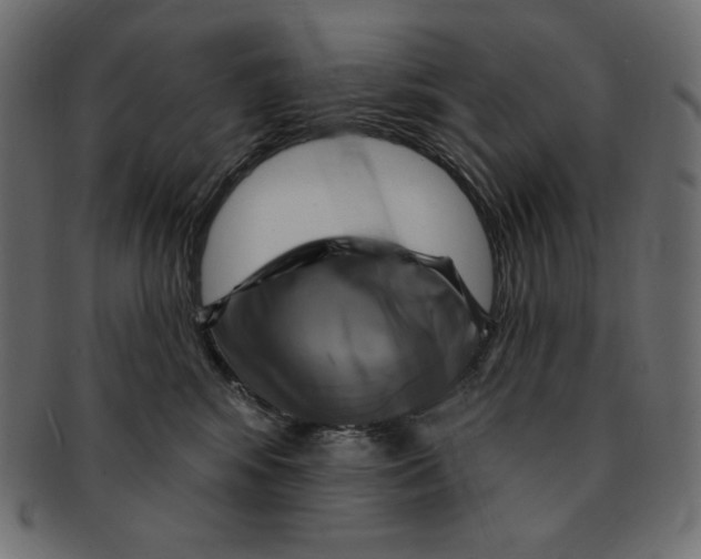 X0000091910424200710031022