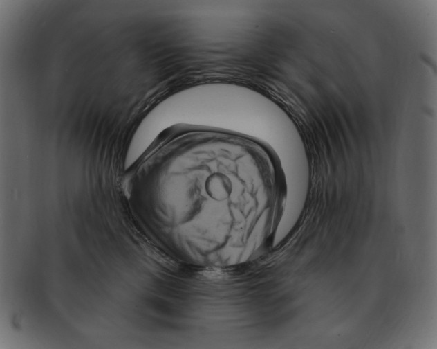 X0000091910425200710031022