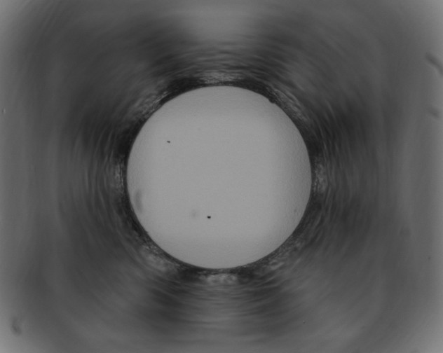 X0000091910426200710031022