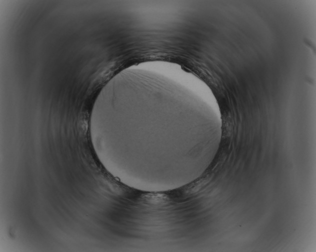 X0000091910427200710031022