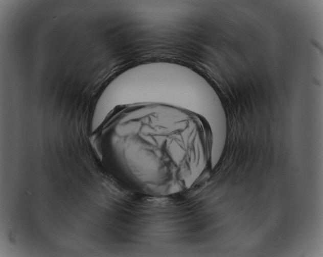 X0000091910428200710031022