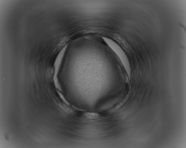 X0000091910429200710031022