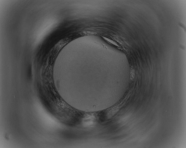 X0000091910431200710031022