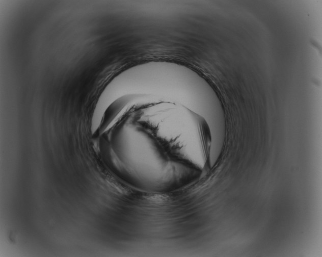 X0000091910432200710031022