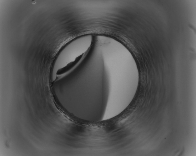 X0000091910434200710031022