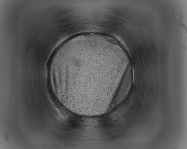 X0000091910435200710031022