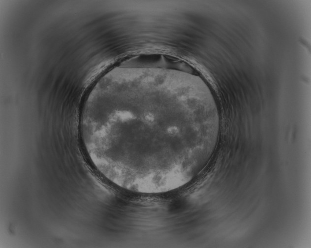 X0000091910437200710031022