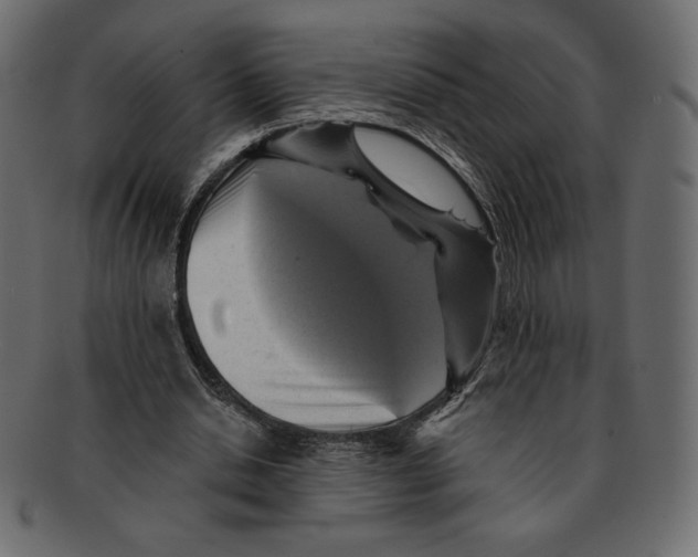 X0000091910438200710031022