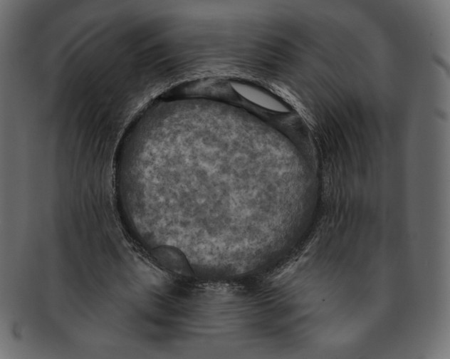 X0000091910439200710031022