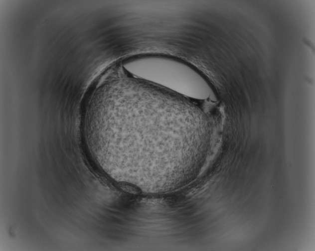 X0000091910440200710031022