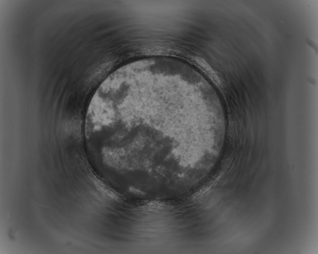 X0000091910441200710031022