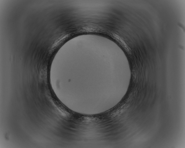 X0000091910442200710031022