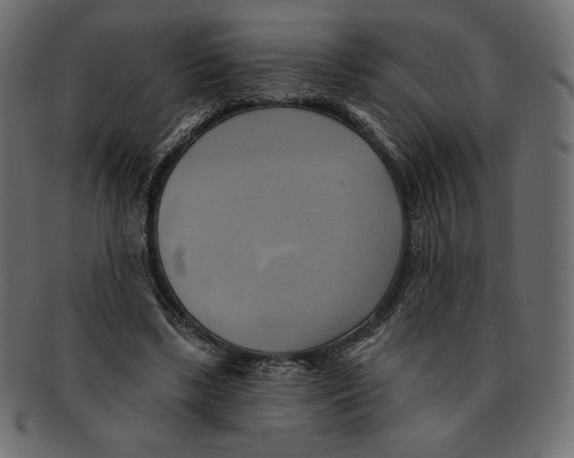 X0000091910443200710031022