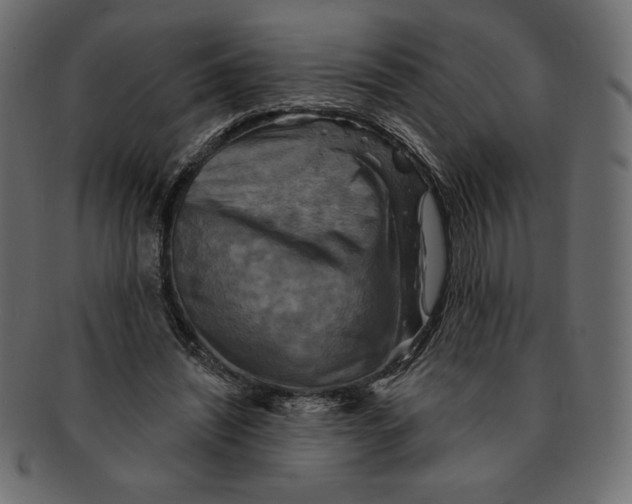 X0000091910444200710031022