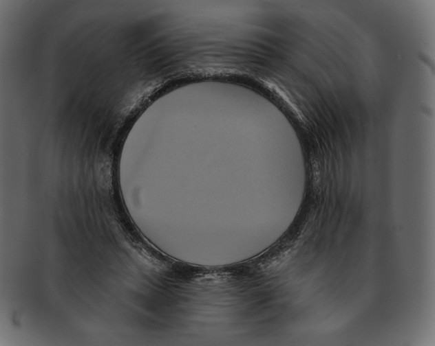 X0000091910447200710031022