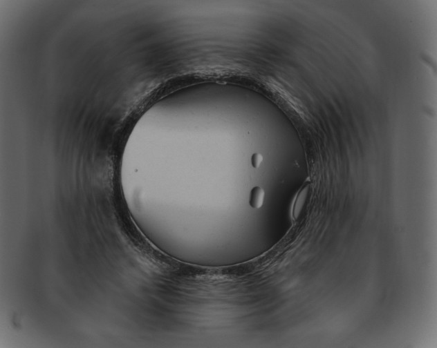 X0000091910448200710031022