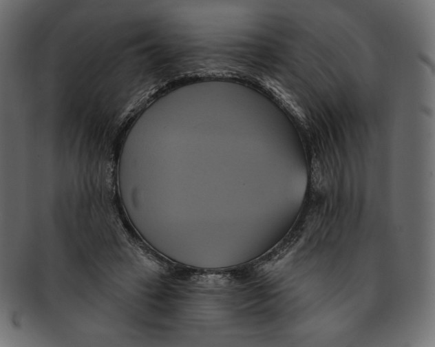 X0000091910449200710031022