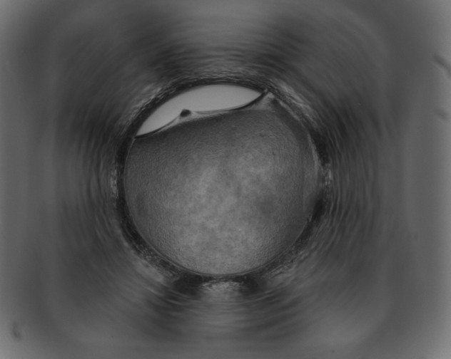 X0000091910452200710031022