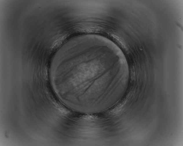 X0000091910453200710031022