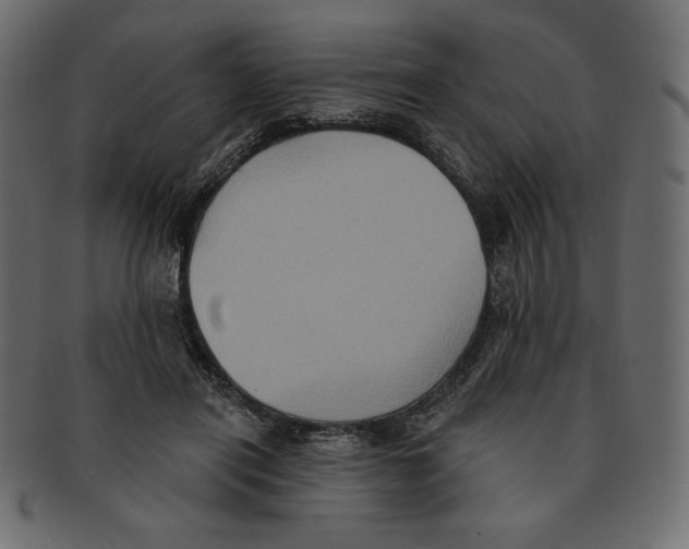 X0000091910454200710031022