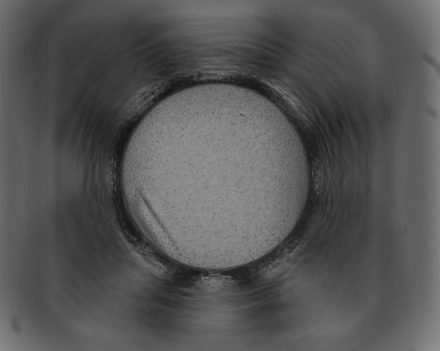 X0000091910455200710031022