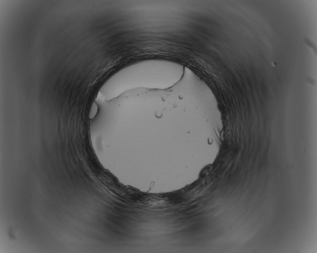 X0000091910456200710031022