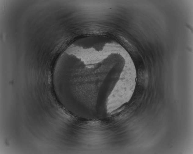 X0000091910457200710031022