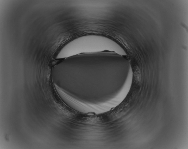 X0000091910458200710031022