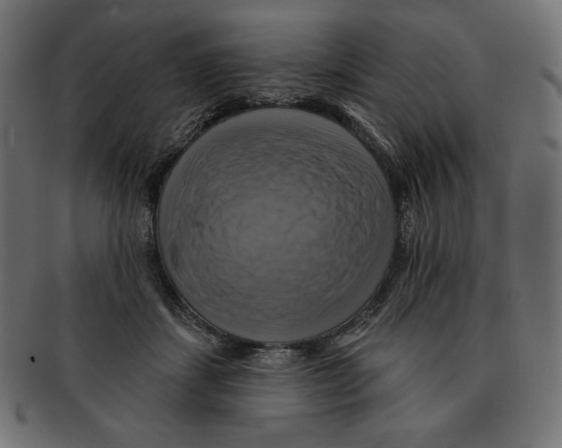 X0000091910459200710031022