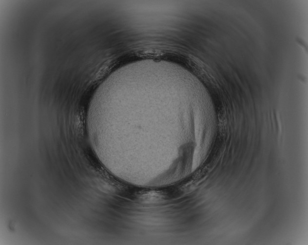 X0000091910460200710031022