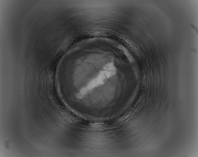 X0000091910461200710031022