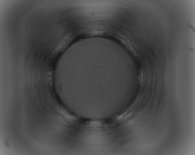 X0000091910462200710031022