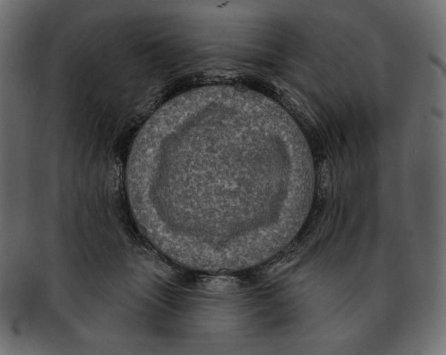 X0000091910463200710031022