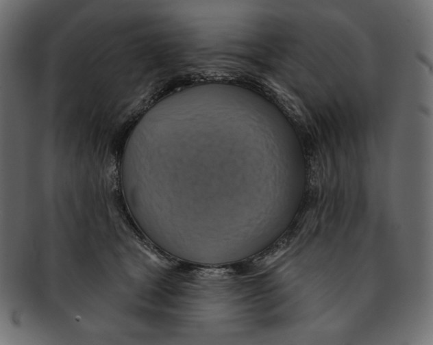 X0000091910465200710031022