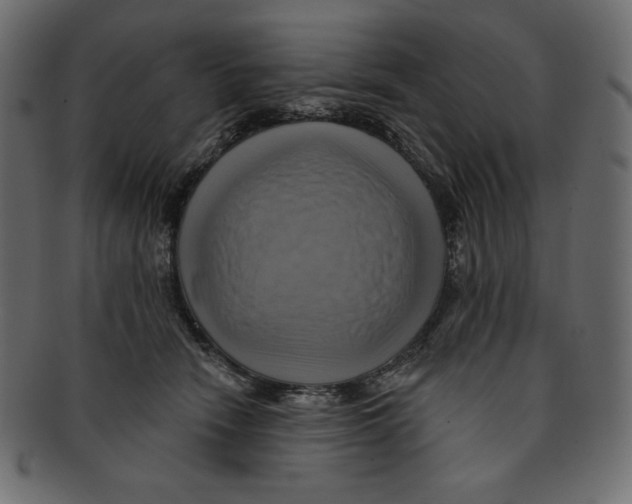 X0000091910466200710031022