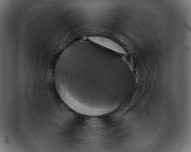 X0000091910467200710031022