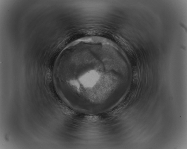 X0000091910469200710031022