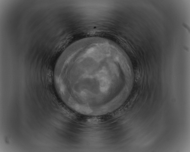 X0000091910470200710031022