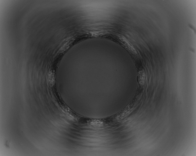 X0000091910471200710031022