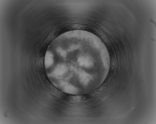 X0000091910473200710031022